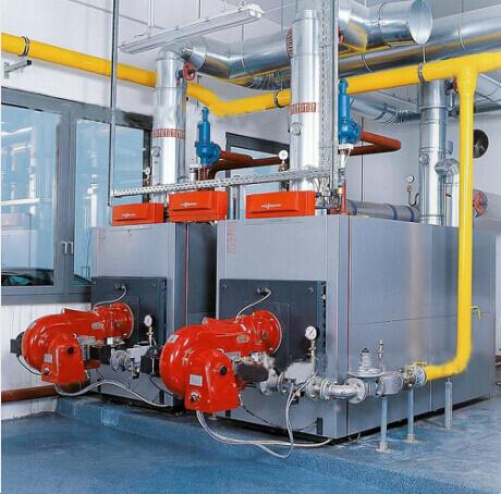 河南鄲城薯業(yè)2臺6噸低氮燃氣鍋爐